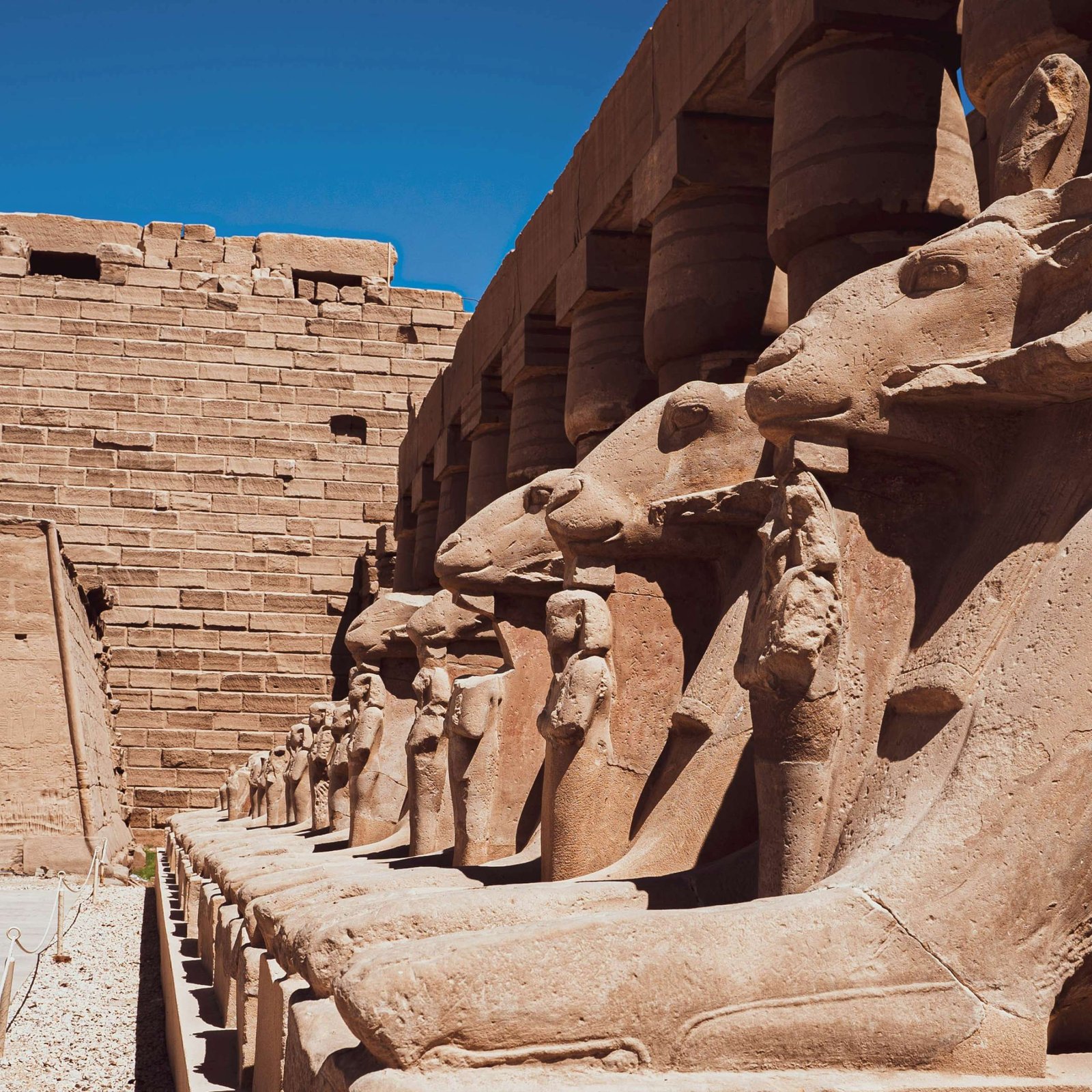 Full Day in Luxor